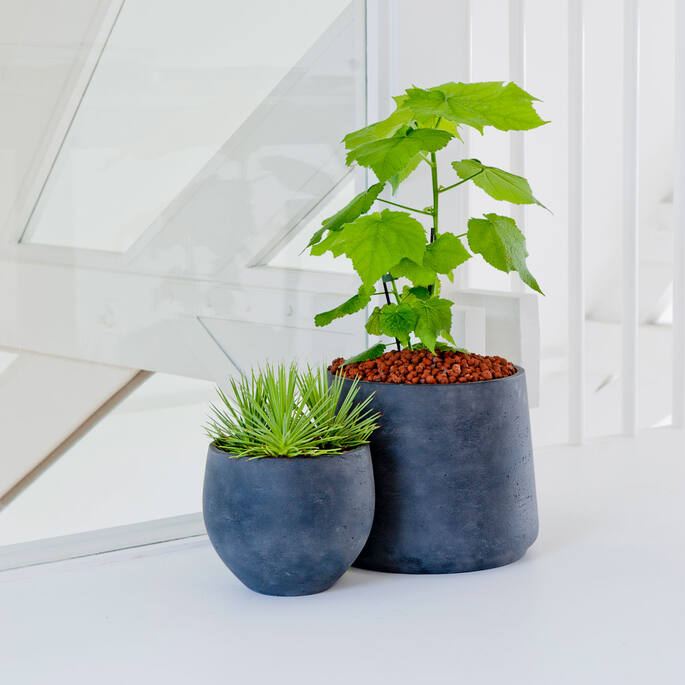 Pottery Pots - Bloempot Mini Orb L, Black Washed Ø32 cm