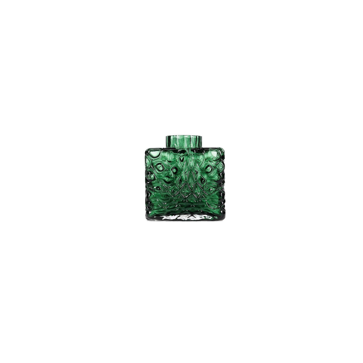 Salt & Pepper - Vaas 15x9xH16cm botanic Groen Lior