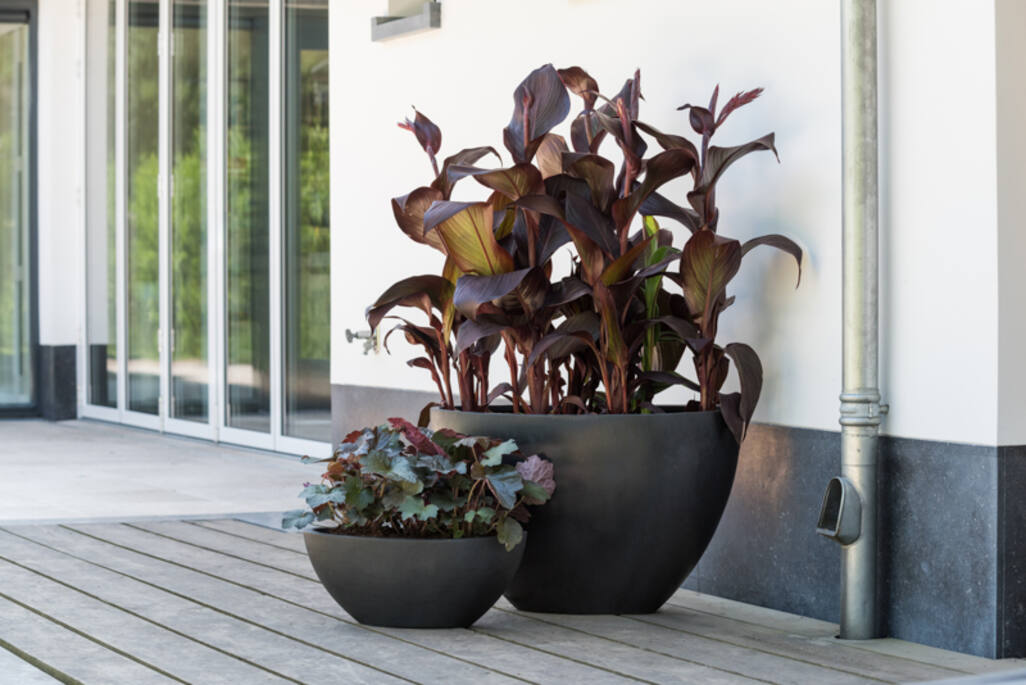 Pottery Pots - Bloempot Dorant M, Zwart 53x23,5 cm