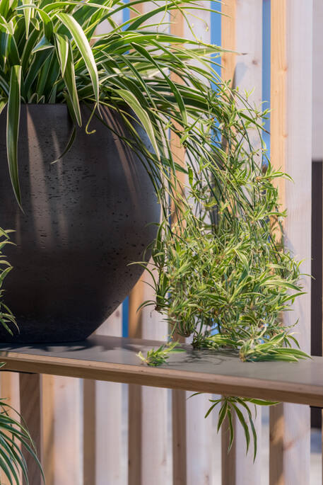 Pottery Pots - Bloempot Mini Orb S, Black Washed Ø18 cm