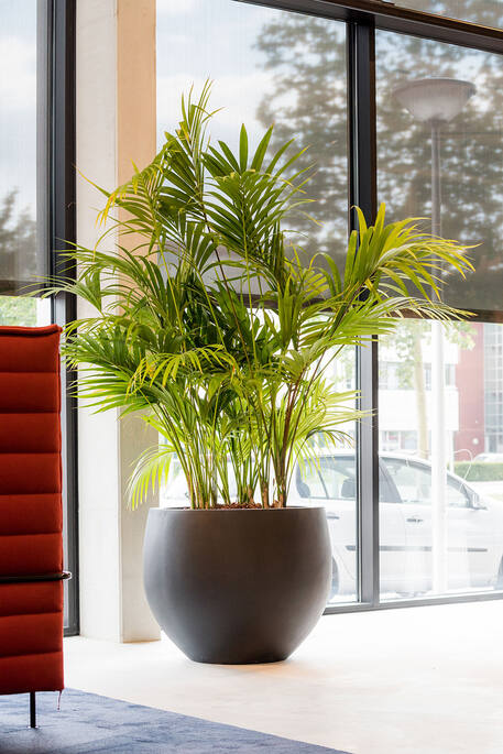 Pottery Pots - Bloempot Jumbo Orb L, Zwart Ø133 cm