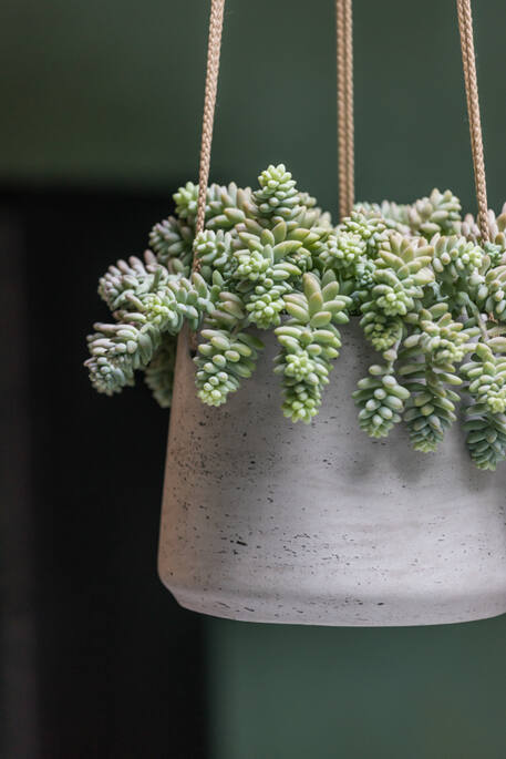 Pottery Pots - Bloempot Patt M (hanging) Grey Washed, Grey Washed Ø16,5 cm