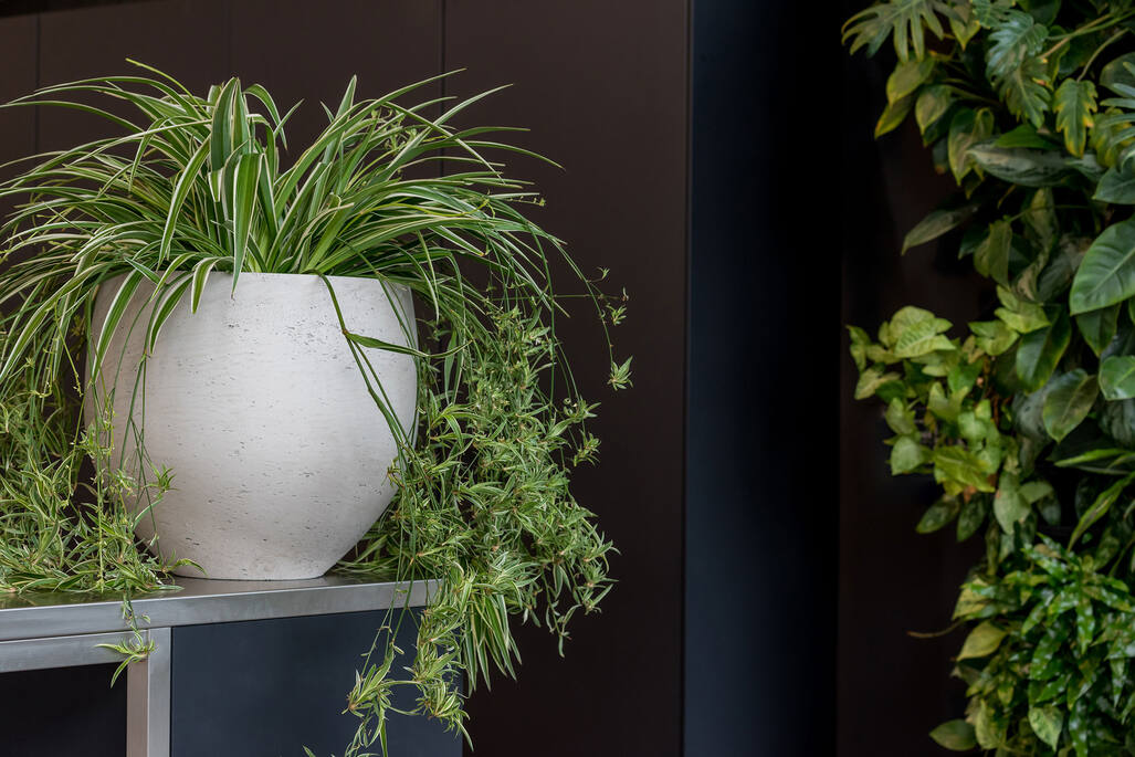 Pottery Pots - Bloempot Mini Orb M, Grey Washed Ø25 cm