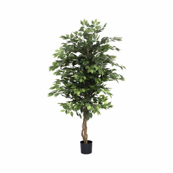 Pottery Pots - Nepplanten Ficus tree S, Groen