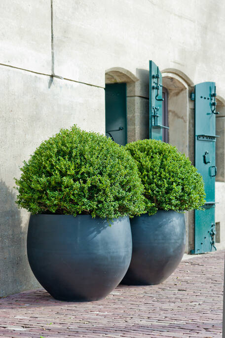 Pottery Pots - Bloempot Jumbo Orb S, Zwart Ø87 cm