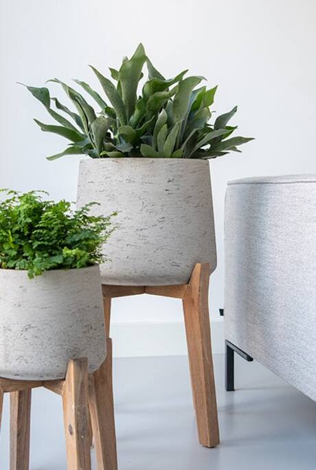 Pottery Pots - Bloempot Patt XXXL (Feet High), Grey Washed Ø55 cm