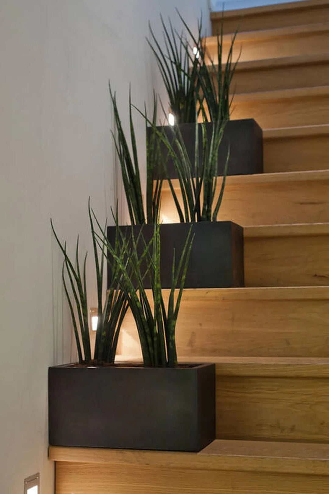 Balcony XL, Zwart