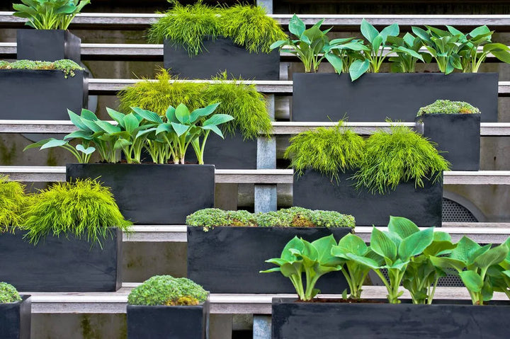 Balcony XS, Zwart
