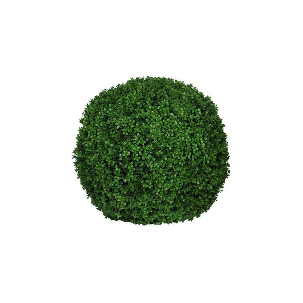 Boxwood XS, Groen