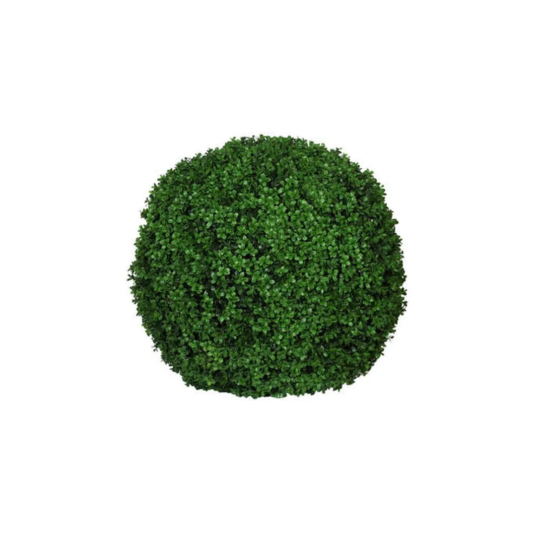 Boxwood XXS, Groen