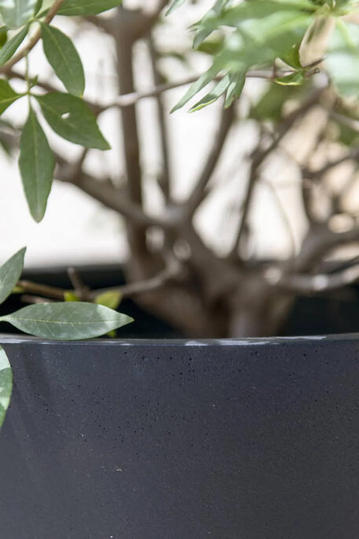 Bucket XS, Zwart