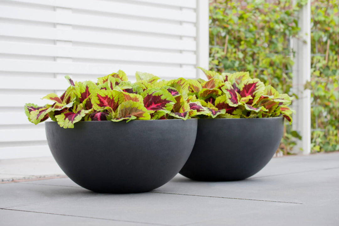 Pottery Pots - Bloempot Vic Bowl L, Grijs