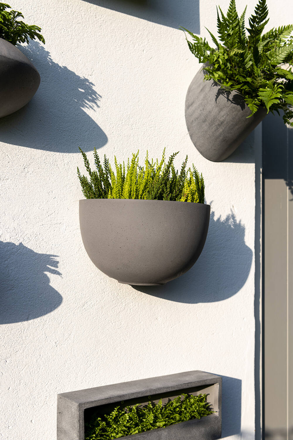 Pottery Pots - Bloempot Mini Dorant Wally L, Zwart
