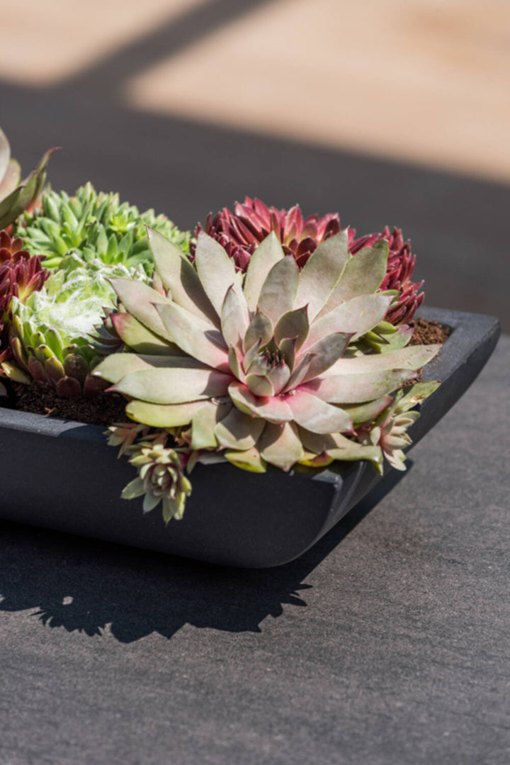 Pottery Pots - Bloempot Pandora M, Grijs