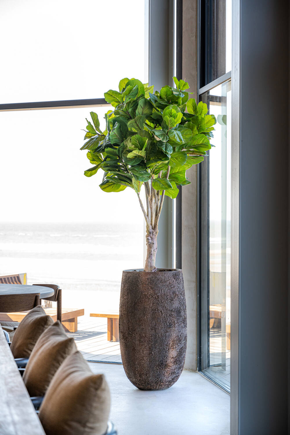 Pottery Pots - Nepplanten Ficus Lyrata XL, Groen
