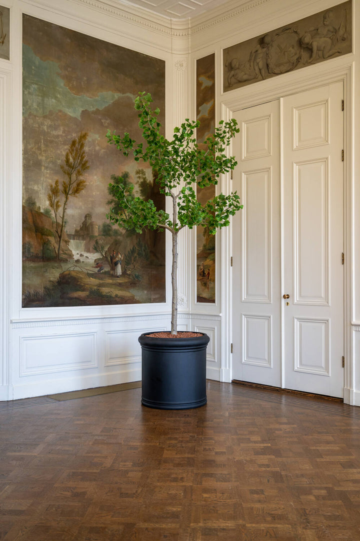 Pottery Pots - Nepplanten Ginko Biloba Tree XL, Groen