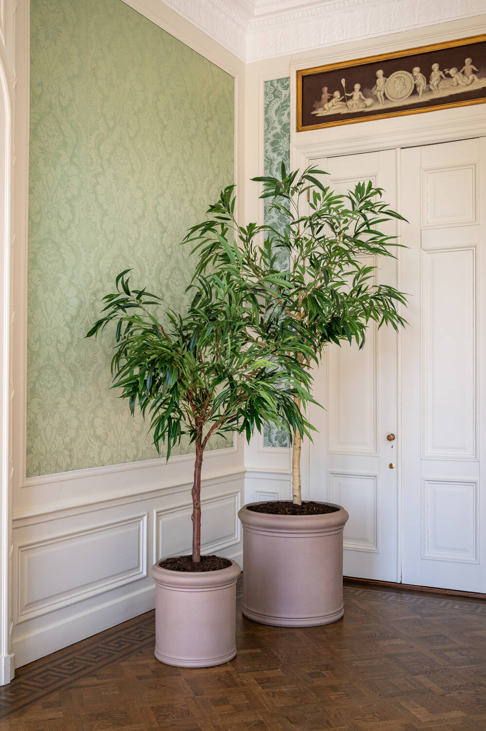 Pottery Pots - Nepplanten Ficus Alii Tree XL, Groen