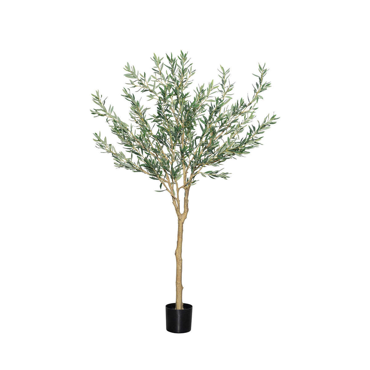 Pottery Pots - Nepplanten Olea Europaea Tree L, Groen