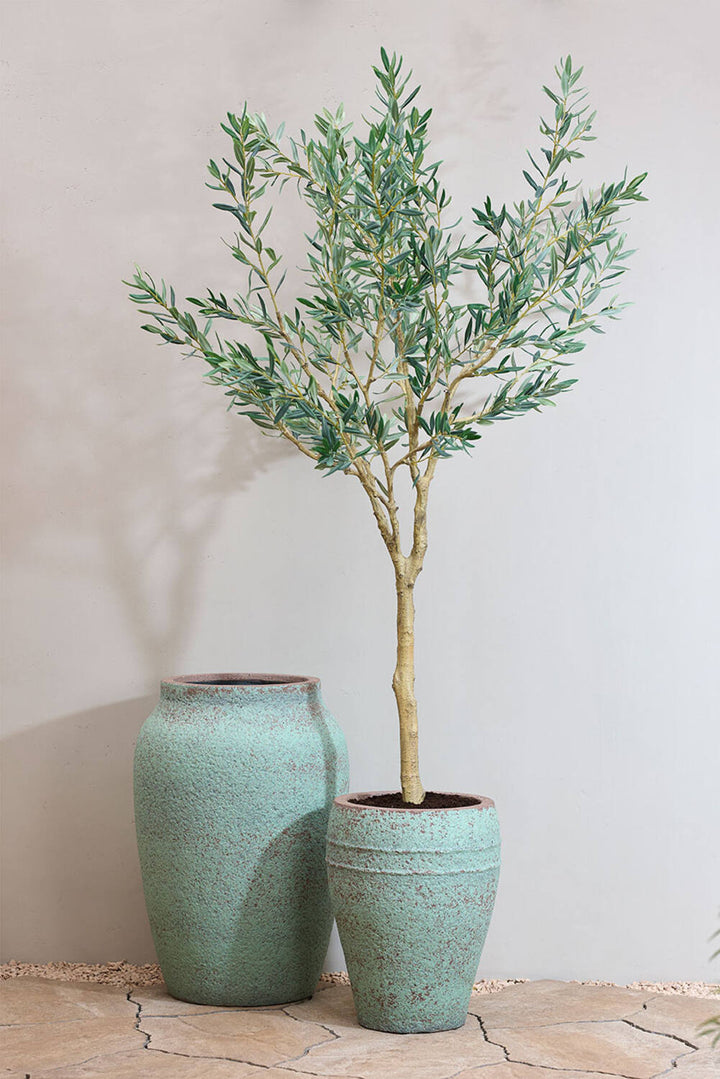 Pottery Pots - Nepplanten Olea Europaea Tree L, Groen
