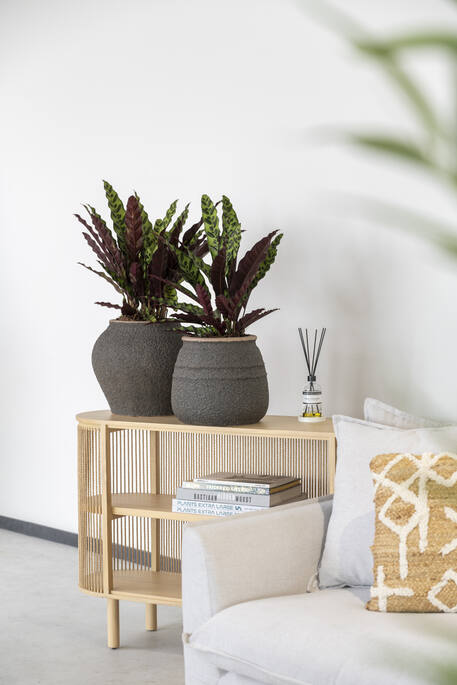 Hestia L, Umber Brown