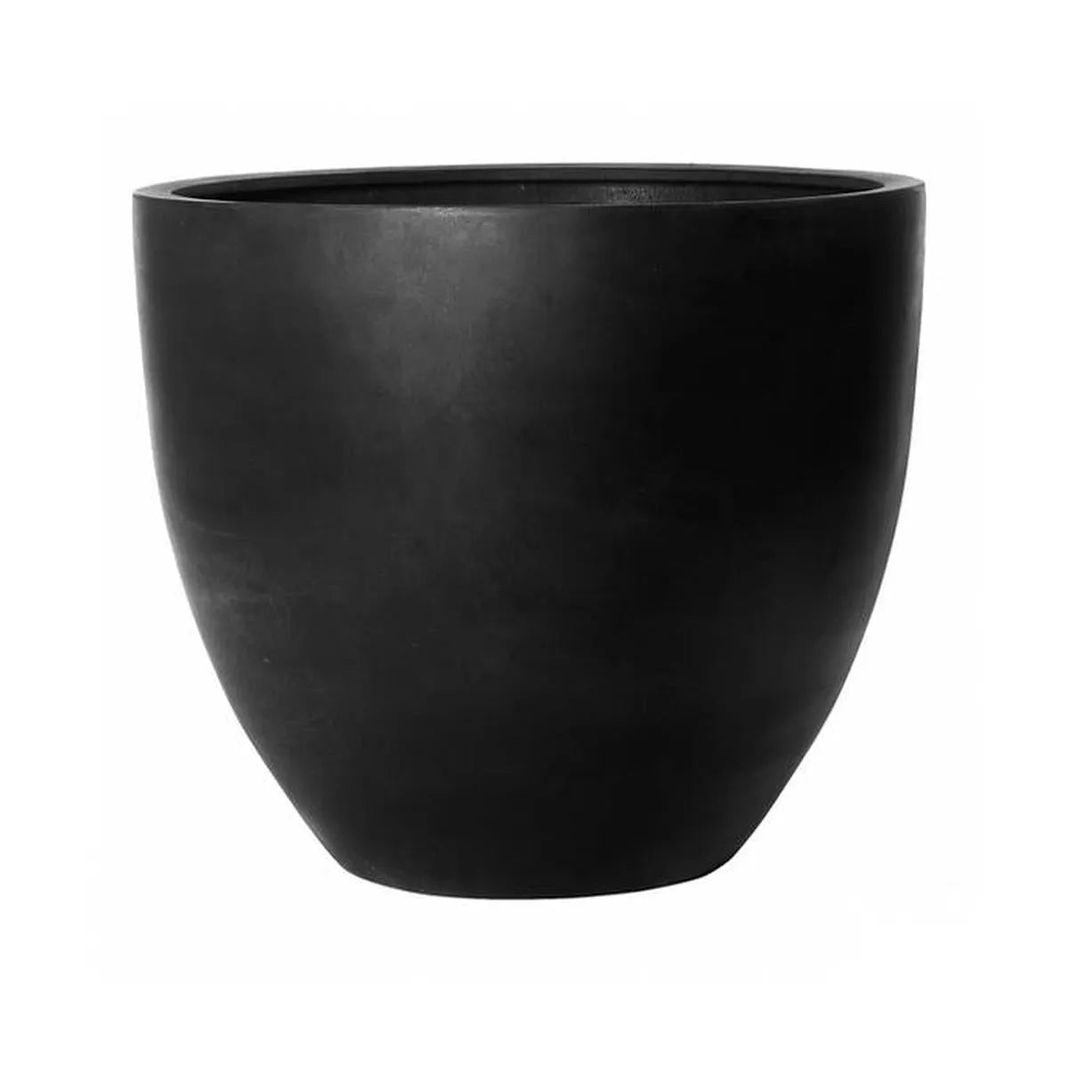 Jumbo Jesslyn M, Zwart