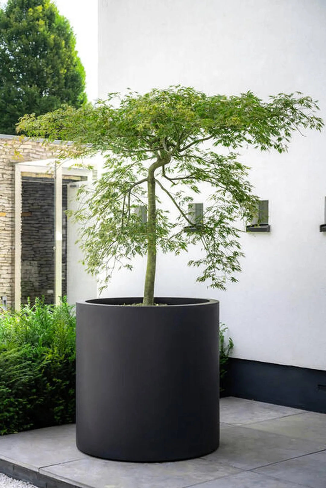Jumbo Max XL, Zwart