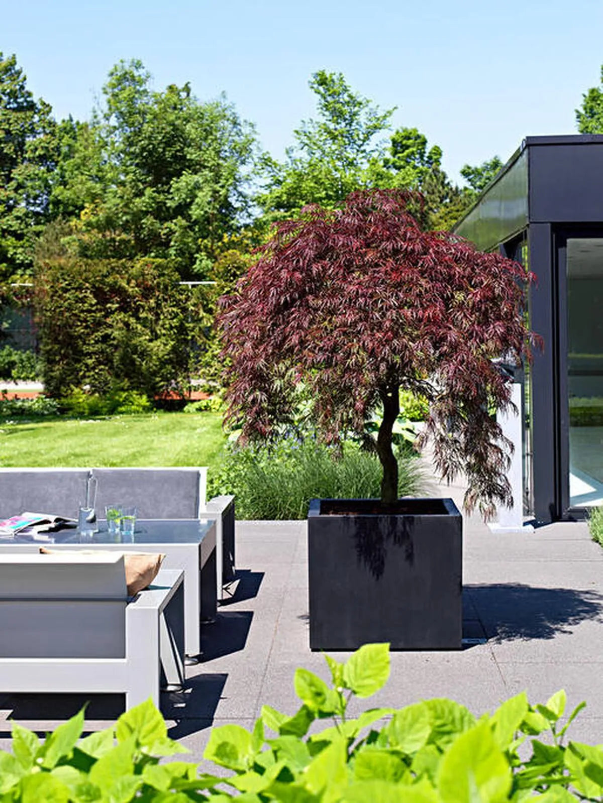 Jumbo XL, Zwart