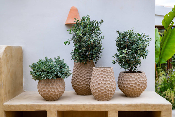 Pottery Pots - Bloempot Gibson S, Gebakken Zand