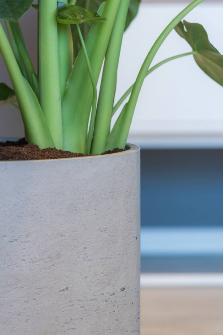 Pottery Pots - Bloempot Charlie XXL, Grijs Washed
