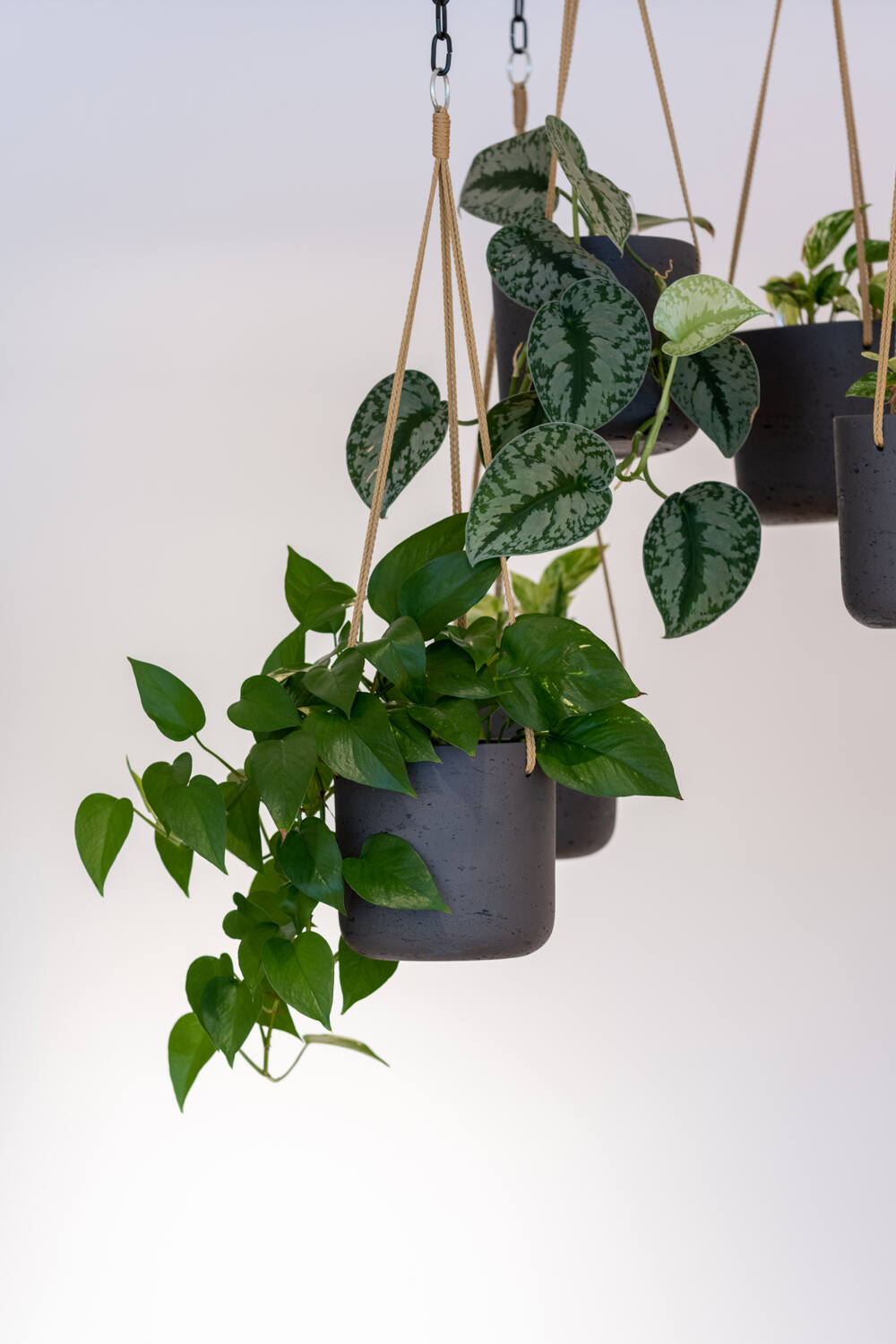 Pottery Pots - Bloempot Charlie S (hanging) Black Washed, Zwart Washed