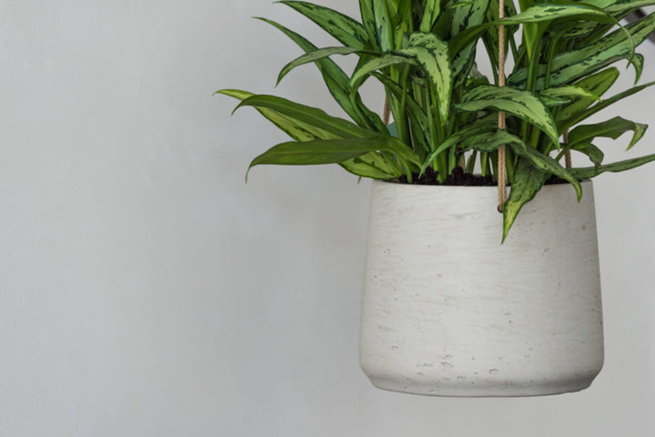 Pottery Pots - Bloempot Patt L (hanging) Grey Washed, Grijs Washed