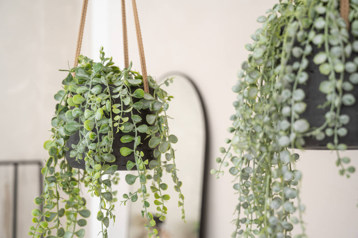 Pottery Pots - Bloempot Patt XL (hanging) Black Washed, Zwart Washed