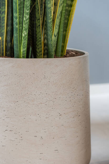 Patt L, Grey Washed