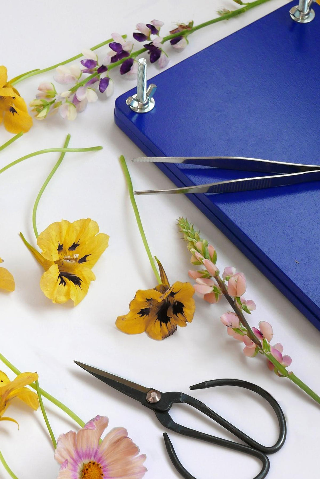 Printworks Flower Press Kit