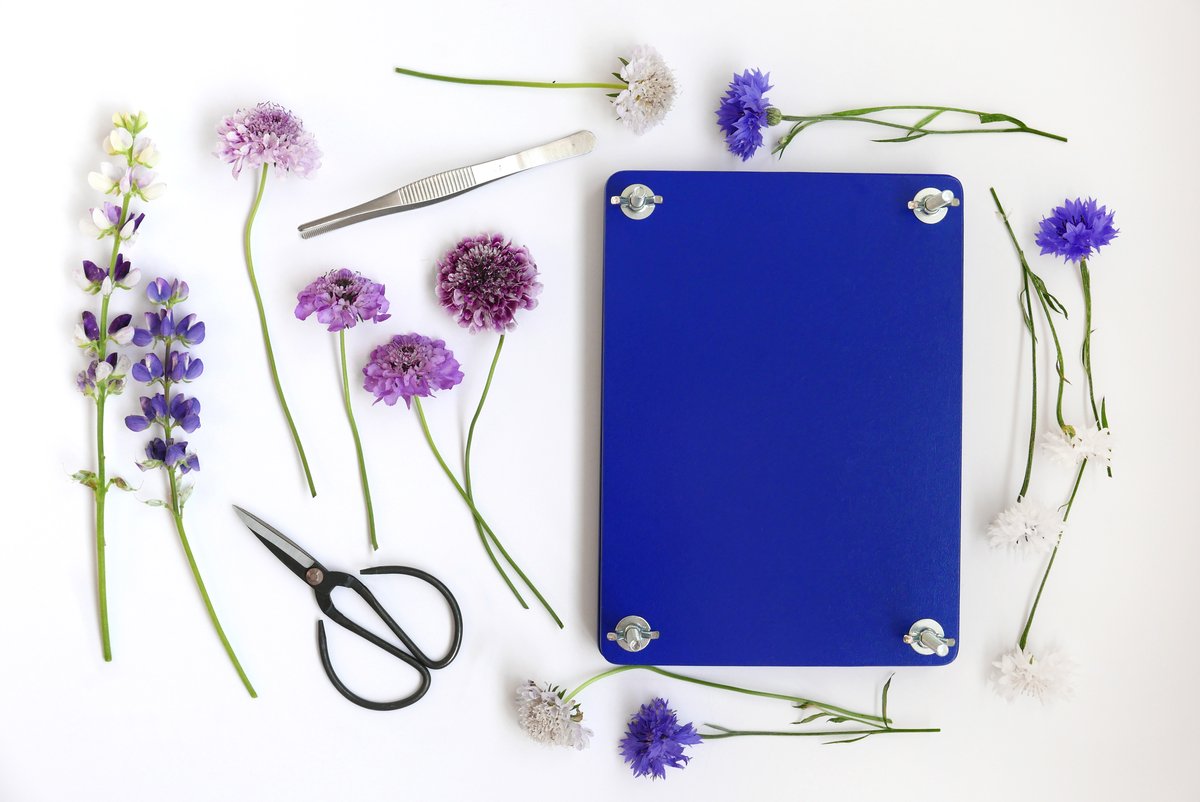 Printworks Flower Press Kit
