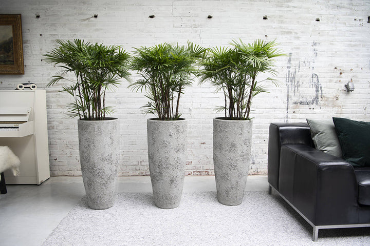 Pottery Pots - Bloempot Dax XL, Imperial Wit