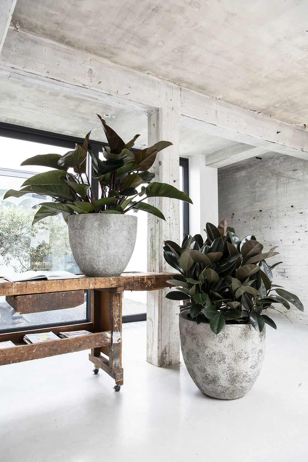 Pottery Pots - Bloempot Jesslyn L, Imperial Wit
