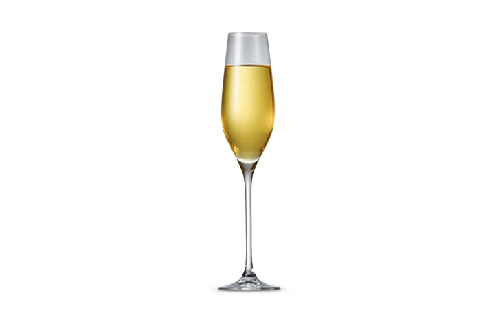 Salt &amp; Pepper - Champagneglas 21cl Cuvee - set/6