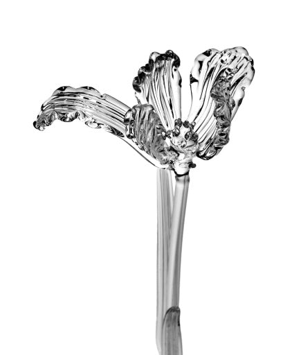 Serax - Kris Van Assche - BLOEM TULP TRANSPARANT JOSEPHINE