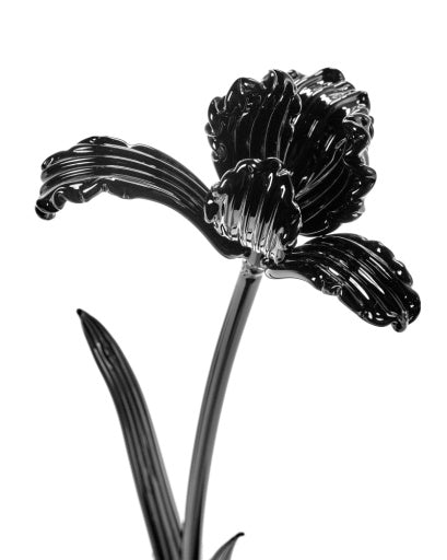 Serax - Kris Van Assche - BLOEM TULP ZWART JOSEPHINE