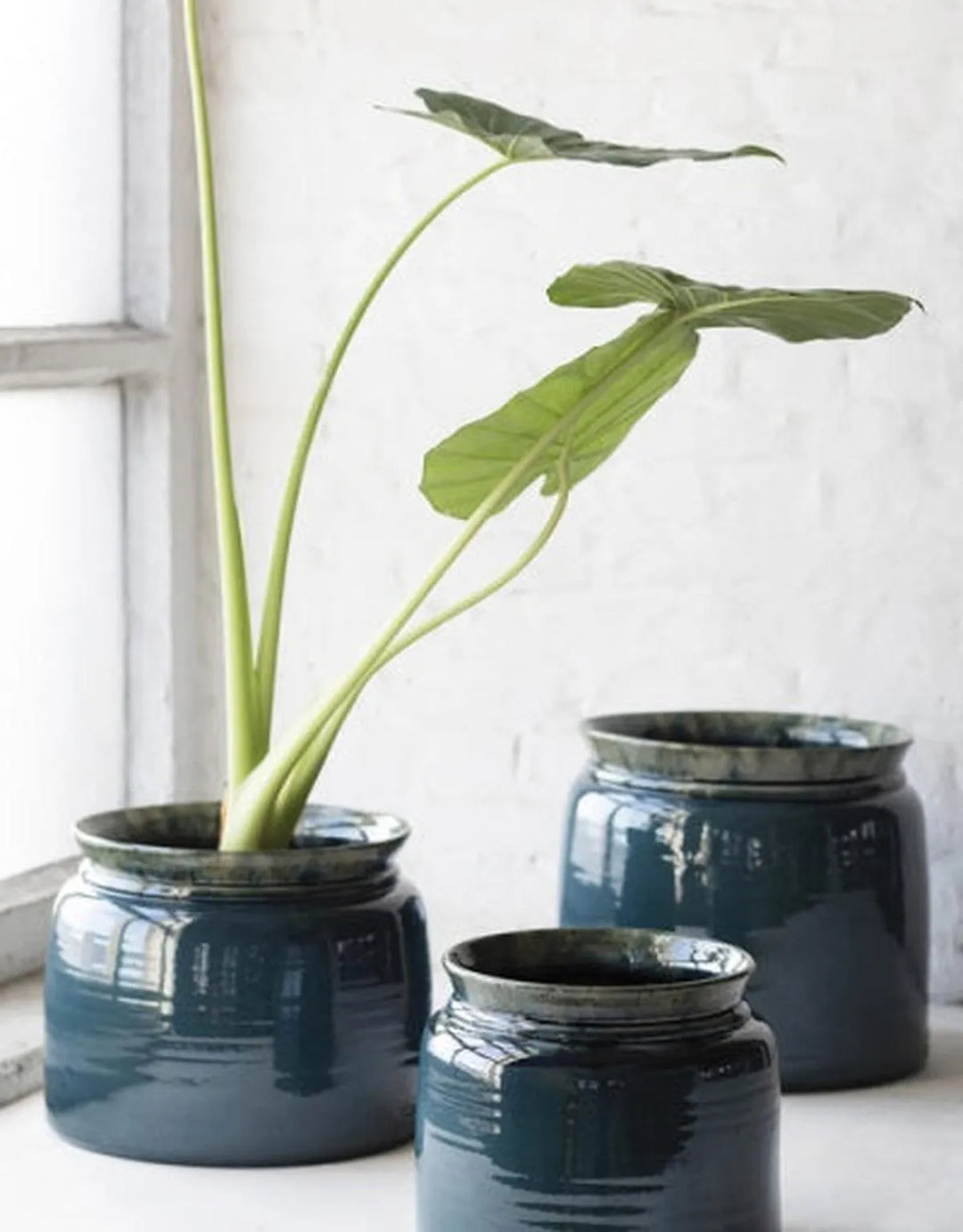 Serax - Serax - Bloempot L Blauw