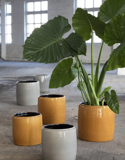 Serax - Serax - SIERPOT S HONEY