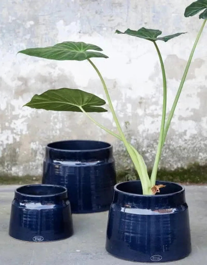 Serax - Sierpot M Blauw
