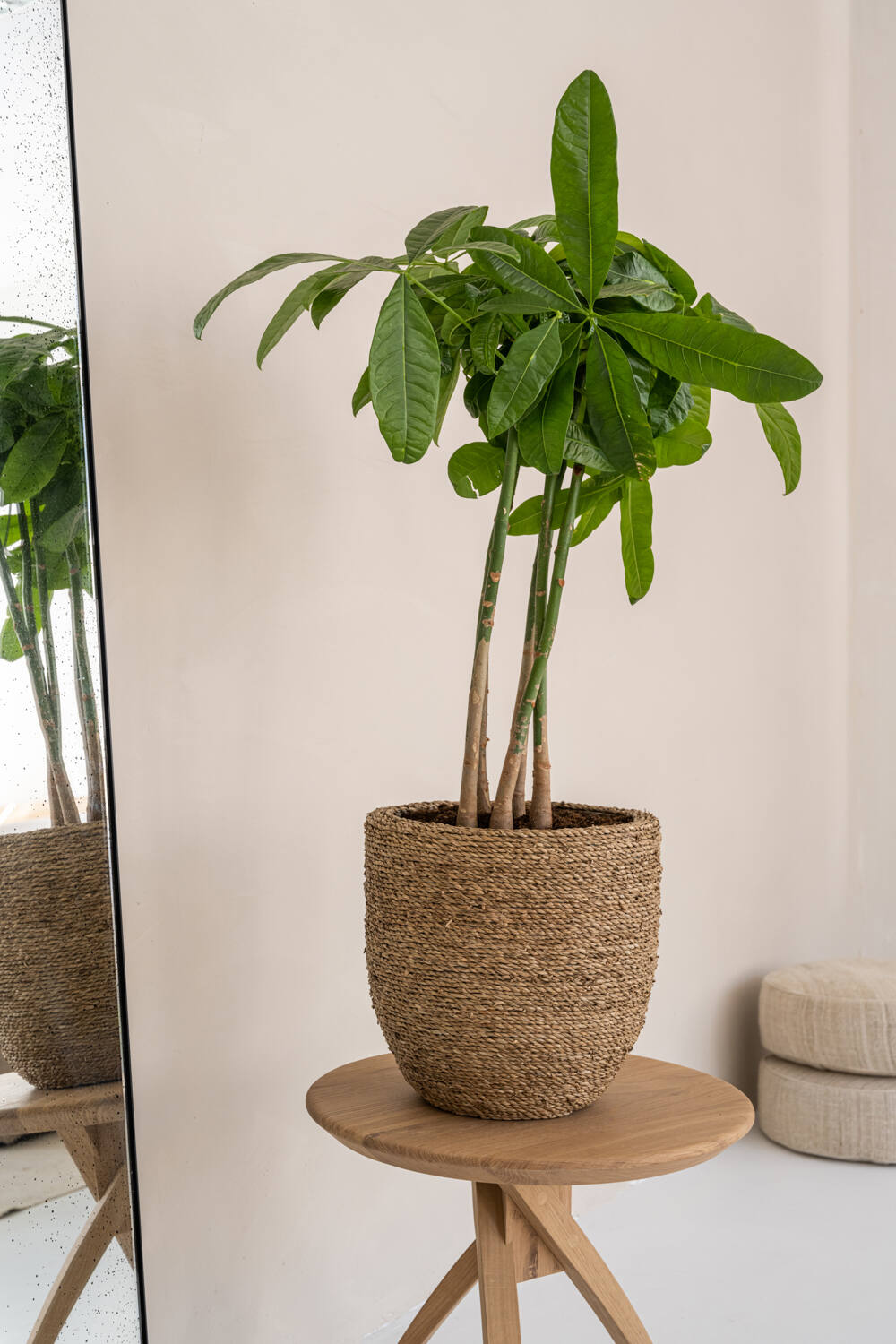 Pottery Pots - Bloempot Cody XS, Strogroen