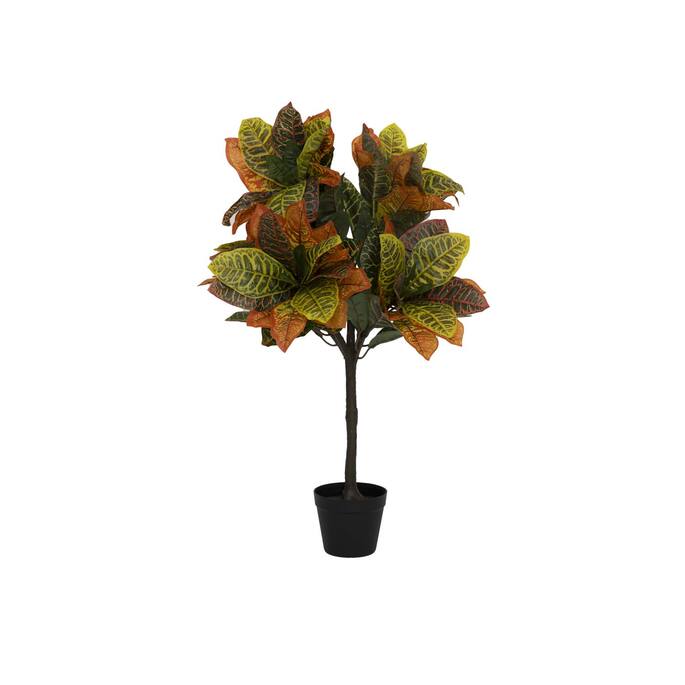 Pottery Pots - Nepplanten Codiaeum S, Groen