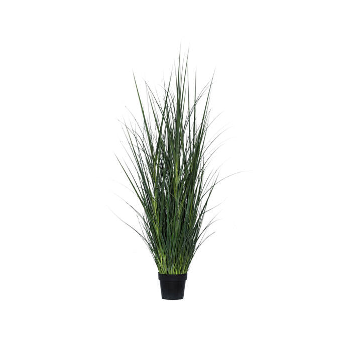 Pottery Pots - Nepplanten Grass in pot L, Groen