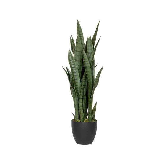 Pottery Pots - Nepplanten Sansevieria M, Groen