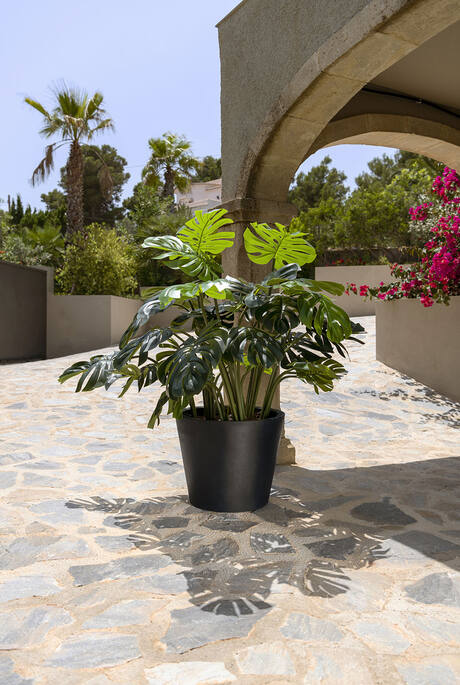 Pottery Pots - Nepplanten Monstera XL, Groen